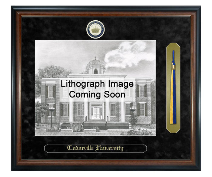 Cedarville University Litho Frame,Diploma Frame (XSNTL)
