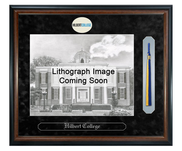 Hilbert College Litho Frame,Diploma Frame (XSNTL)