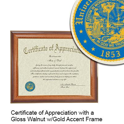 University of Florida College of Pharmacy Certificate with Frame