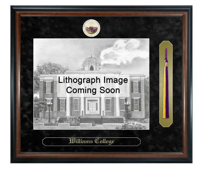 Williams College Litho Frame,Diploma Frame (XSNTL)