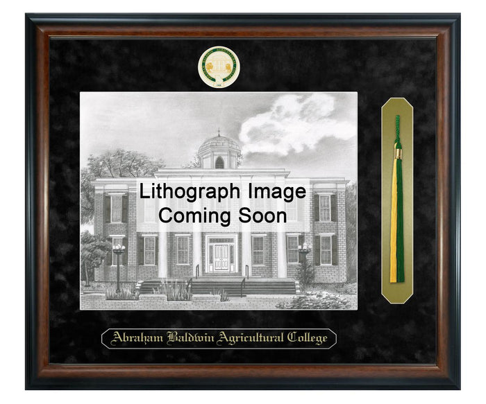 Abraham Baldwin Agricultural College Litho Frame,Diploma Frame (XSNTL)