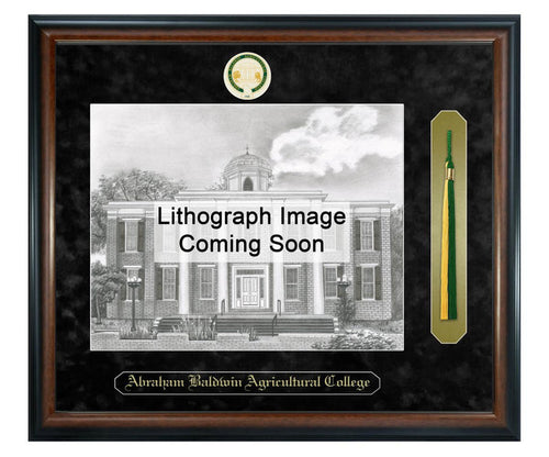 Abraham Baldwin Agricultural College Litho Frame,Diploma Frame (XSNTL)