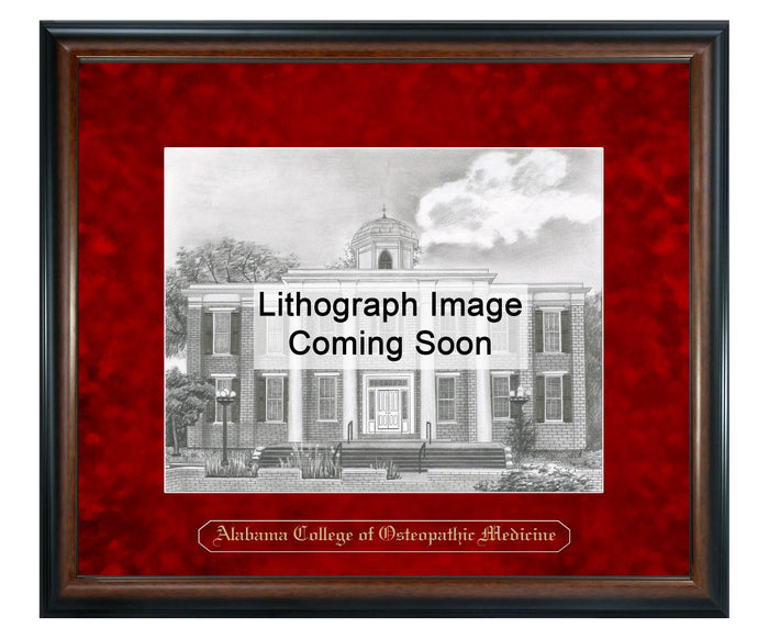 Alabama College of Osteopathic Medicine Litho Frame,Diploma Frame (XNL)