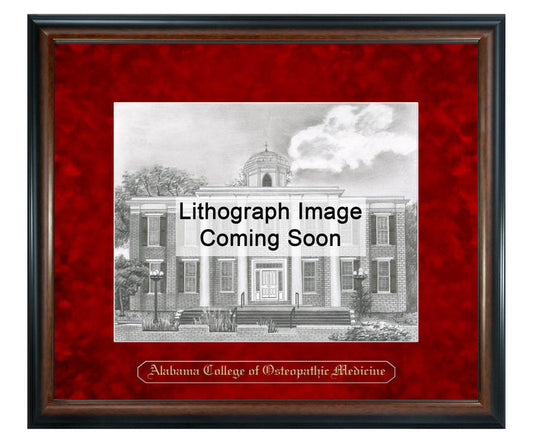 Alabama College of Osteopathic Medicine Litho Frame,Diploma Frame (XNL)