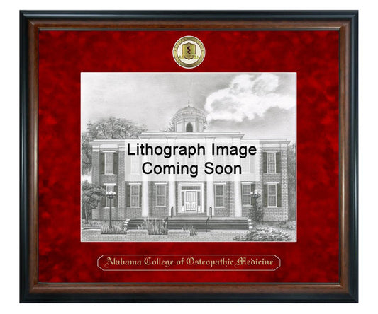 Alabama College of Osteopathic Medicine Litho Frame,Diploma Frame (XSNL)