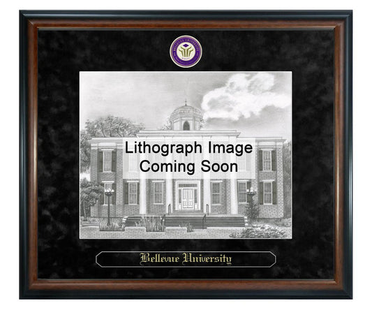Bellevue University Litho Frame,Diploma Frame (XSNL)