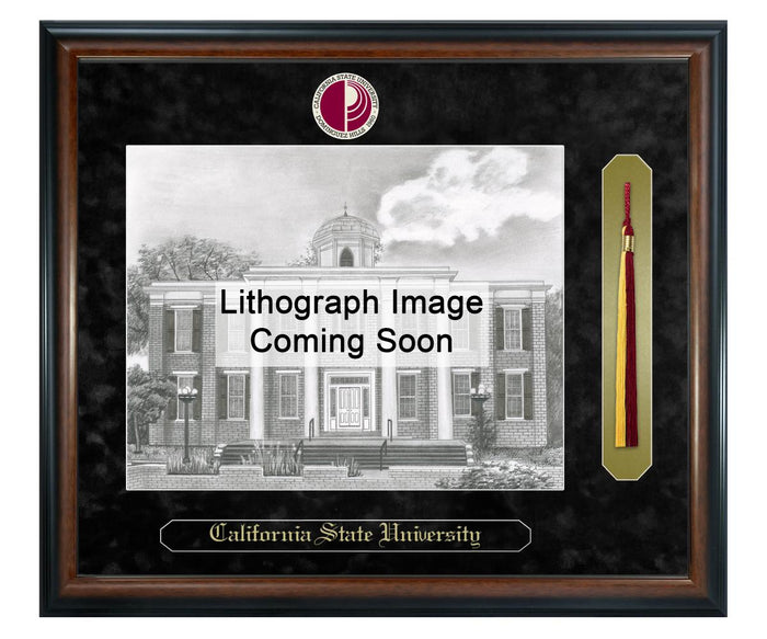 California State University - Dominguez Hills Litho Frame,Diploma Frame (XSNTL)