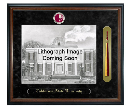 California State University - Dominguez Hills Litho Frame,Diploma Frame (XSNTL)