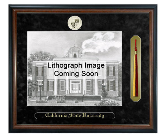 California State University - Stanislaus Litho Frame,Diploma Frame (XSNTL)