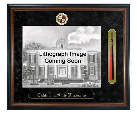California State University, Northridge Litho Frame,Diploma Frame (XSNTL)