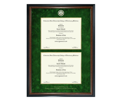 Colorado State University College of Veterinary Medicine Diploma Frame (DSN)