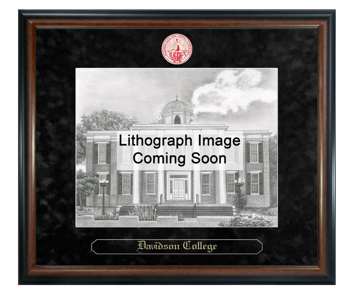 Davidson College Litho Frame,Diploma Frame (XSNL)