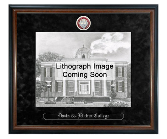 Davis & Elkins College Litho Frame,Diploma Frame (XSNL)