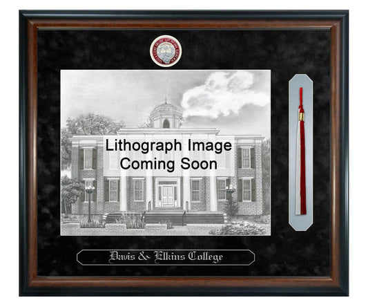 Davis & Elkins College Litho Frame,Diploma Frame (XSNTL)