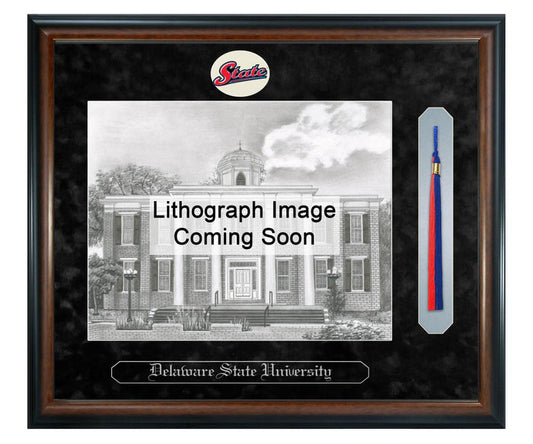 Delaware State University Litho Frame,Diploma Frame (XSNTL)
