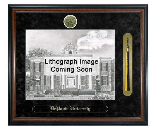 DePauw University Litho Frame,Diploma Frame (XSNTL)