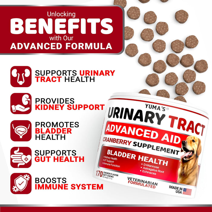Dog UTI Treatment 170 Count Cranberry Supplement Bladder Control