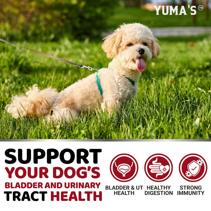 Dog UTI Treatment 170 Count Cranberry Supplement Bladder Control