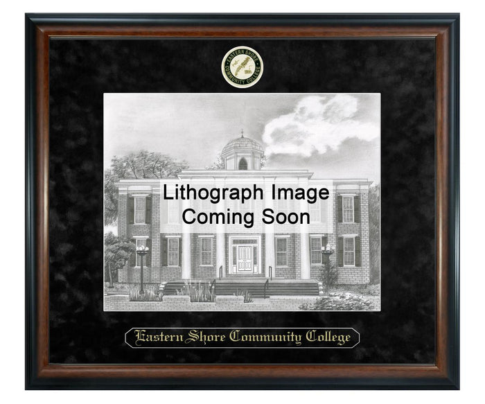 Eastern Shore Community College Litho Frame,Diploma Frame (XSNL)