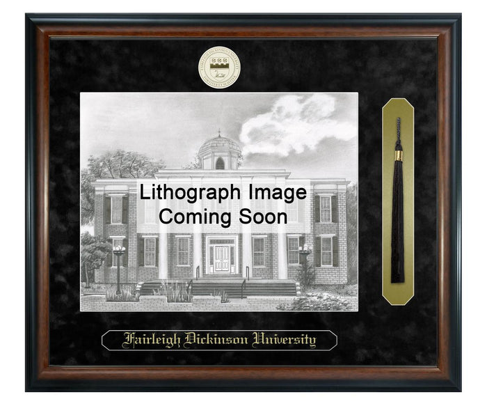 Fairleigh Dickinson University Litho Frame,Diploma Frame (XSNTL)