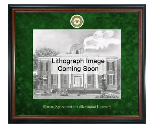 Florida A&M University Litho Frame,Diploma Frame (XSNL)