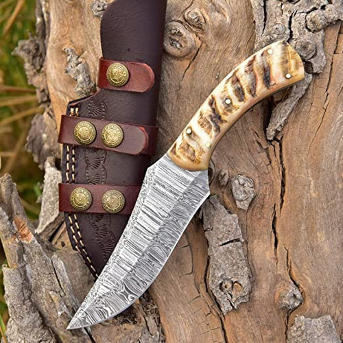 Damascus Hunting Knife with Sheep Horn Handle and Leather Sheath by KBS Knives Store