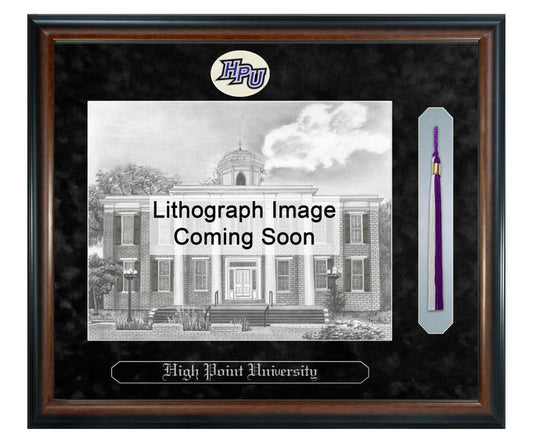 High Point University Litho Frame,Diploma Frame (XSNTL)