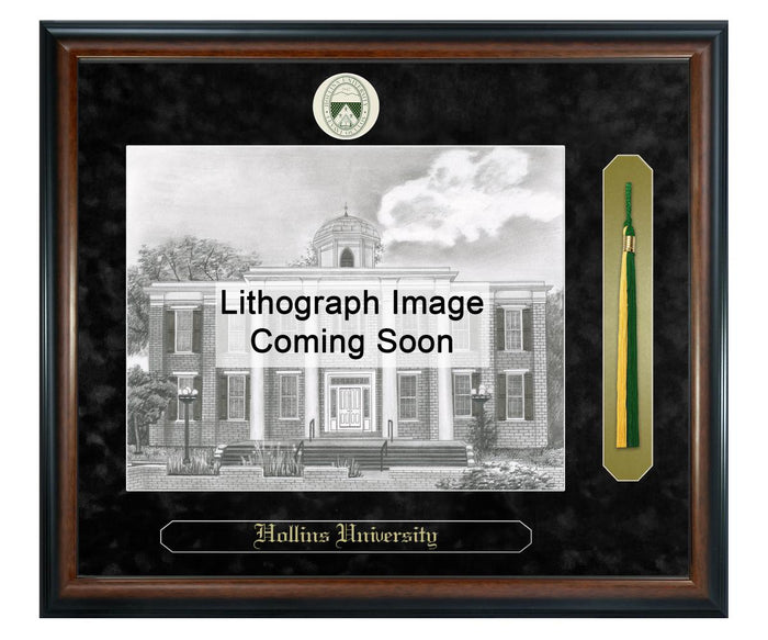 Hollins University Litho Frame,Diploma Frame (XSNTL)