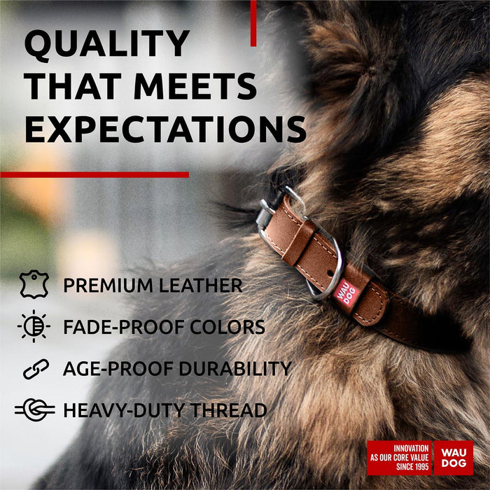 Leather Dog Collar Small & Medium Dogs 12–15 in Neck Brown