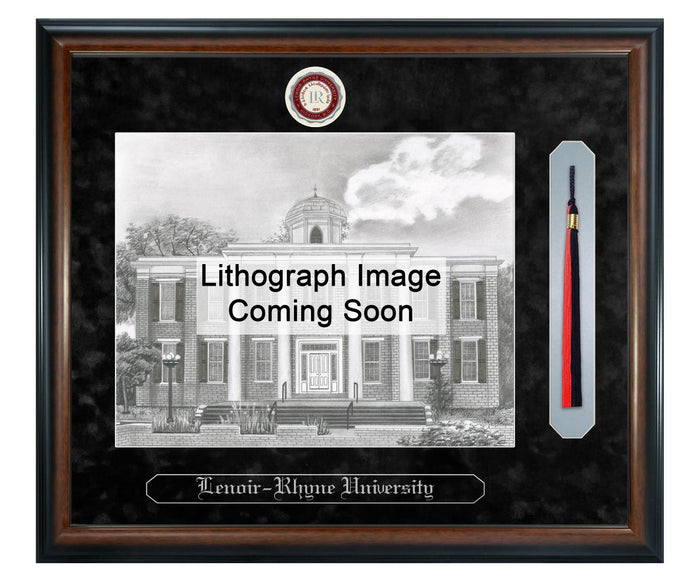 Lenoir-Rhyne University Litho Frame,Diploma Frame (XSNTL)