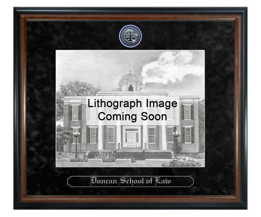Lincoln Memorial University Duncan School of Law Litho Frame,Diploma Frame (XSNL)