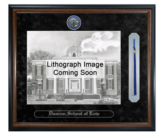 Lincoln Memorial University Duncan School of Law Litho Frame,Diploma Frame (XSNTL)