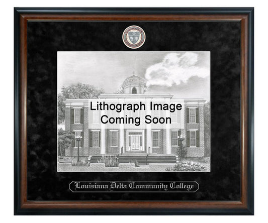 Louisiana Delta Community College Litho Frame,Diploma Frame (XSNL)
