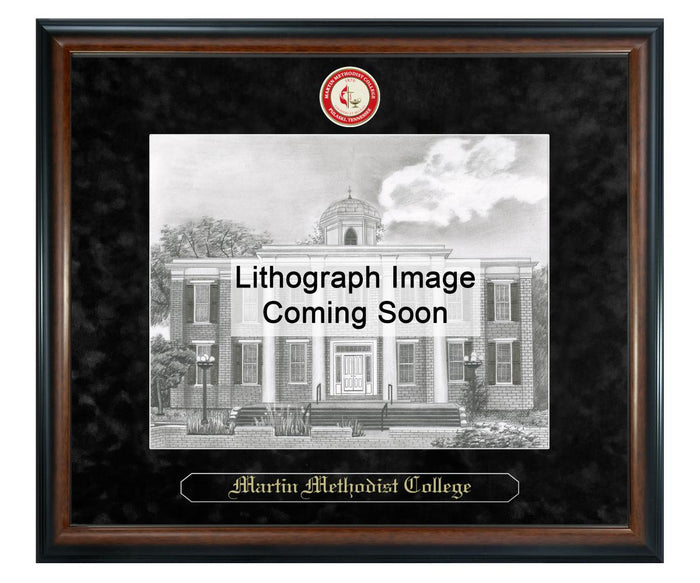 Martin Methodist College Litho Frame,Diploma Frame (XSNL)
