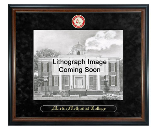 Martin Methodist College Litho Frame,Diploma Frame (XSNL)