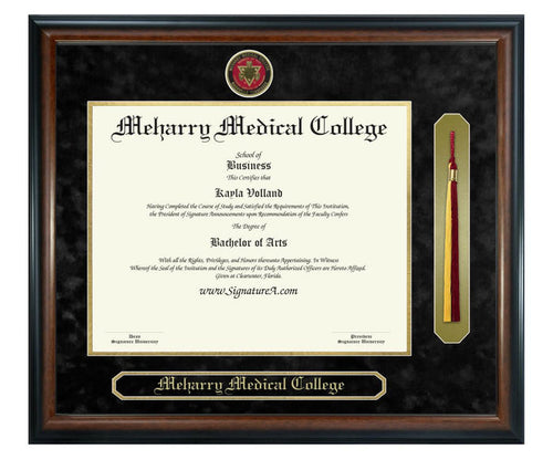 Meharry Medical College Diploma Frame (SNT)