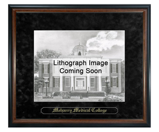 Meharry Medical College Litho Frame,Diploma Frame (XNL)