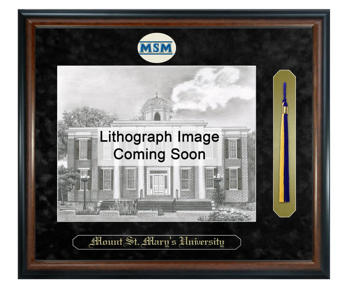 Mount St. Mary's University Litho Frame,Diploma Frame (XSNTL)