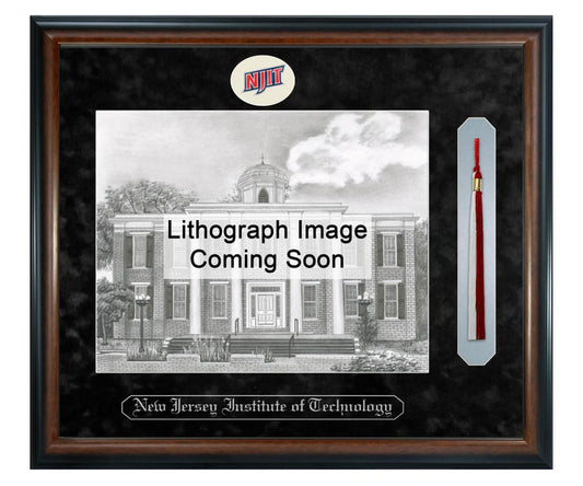 New Jersey Institute of Technology Litho Frame,Diploma Frame (XSNTL)