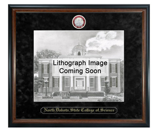North Dakota State College of Science Litho Frame,Diploma Frame (XSNL)