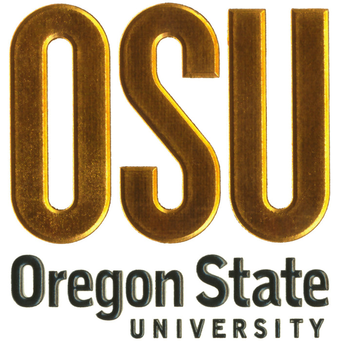 Oregon State University Frame Options (358)