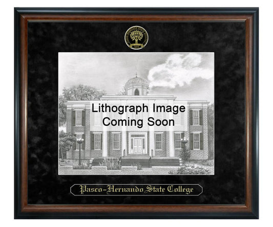 Pasco-Hernando State College Litho Frame,Diploma Frame (XSNL)
