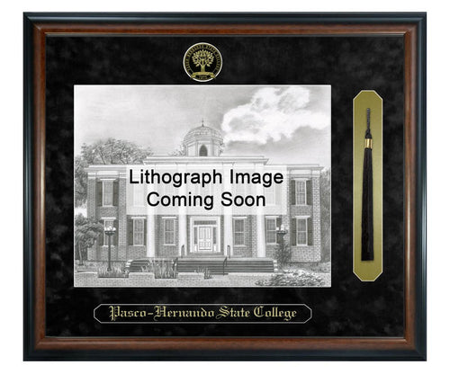 Pasco-Hernando State College Litho Frame,Diploma Frame (XSNTL)