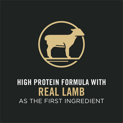 Purina Pro Plan Adult Sensitive Skin & Stomach Lamb & Rice Formula Dry Cat Food