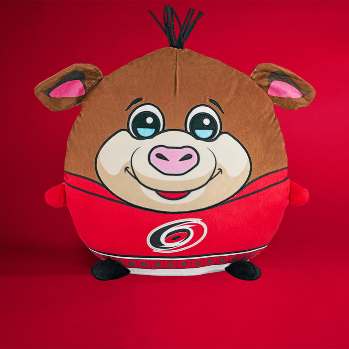 Sleep Squad Carolina Hurricanes Red Uniform 12" Mascot Kiri Cloud Plushie