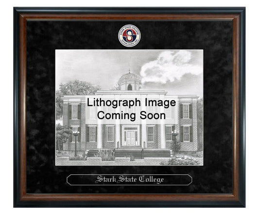 Stark State College Litho Frame,Diploma Frame (XSNL)
