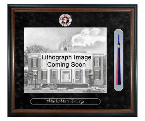 Stark State College Litho Frame,Diploma Frame (XSNTL)