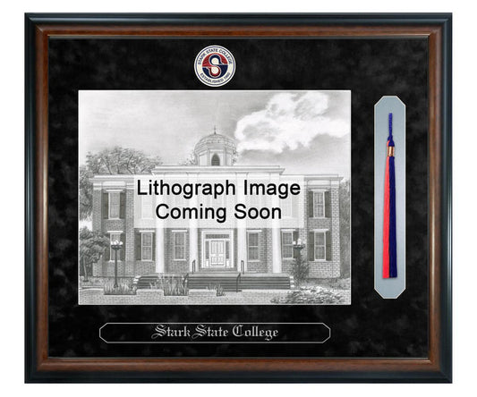 Stark State College Litho Frame,Diploma Frame (XSNTL)