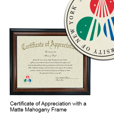 Stony Brook University Certificate with Frame