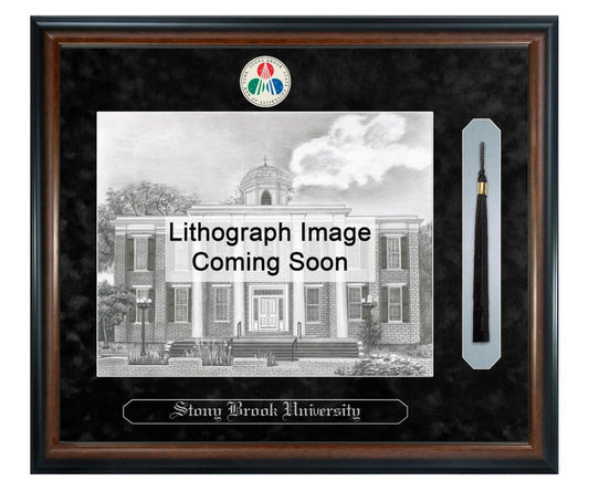 Stony Brook University Litho Frame,Diploma Frame (XSNTL)